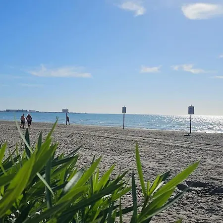 Whit A Sea View And Swiming Pool! Santa Pola